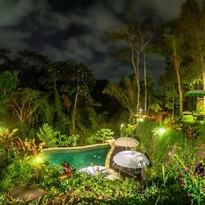  Вилла The Jungle
